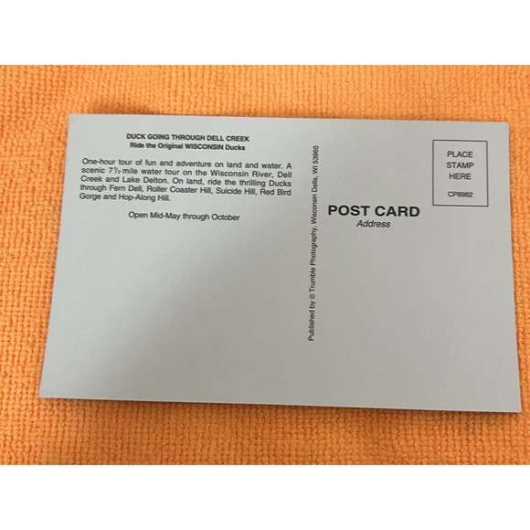 Wisconsin Dells RPPC‎ Real Photo Postcard “Duck going though Dell Creek” - Picture 2 of 2